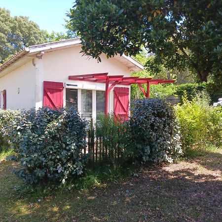 Maisonnette Proche De La Plage Tarnos Ngoại thất bức ảnh